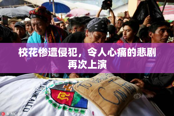 校花惨遭侵犯，令人心痛的悲剧再次上演