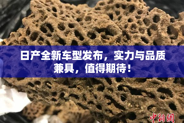 日产全新车型发布，实力与品质兼具，值得期待！