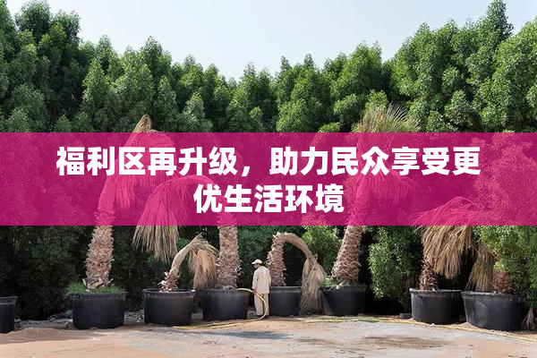 福利区再升级，助力民众享受更优生活环境