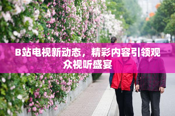B站电视新动态，精彩内容引领观众视听盛宴