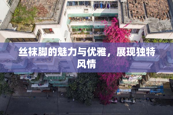 丝袜脚的魅力与优雅，展现独特风情