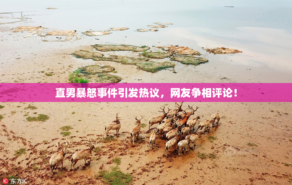 直男暴怒事件引发热议，网友争相评论！