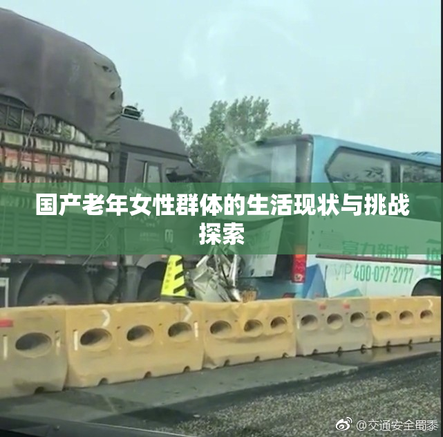 国产老年女性群体的生活现状与挑战探索