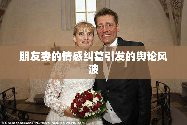 朋友妻的情感纠葛引发的舆论风波