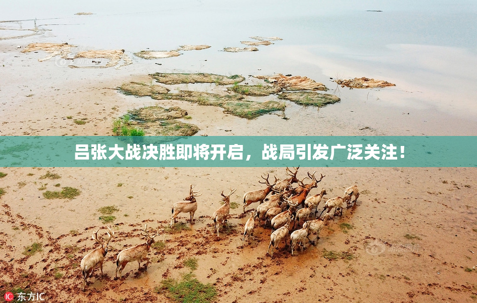 吕张大战决胜即将开启，战局引发广泛关注！