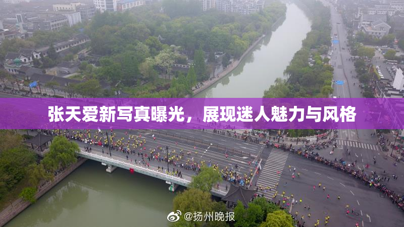 张天爱新写真曝光，展现迷人魅力与风格