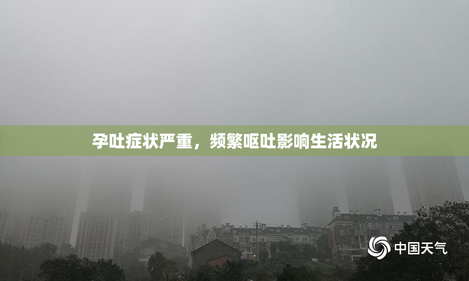 孕吐症状严重，频繁呕吐影响生活状况