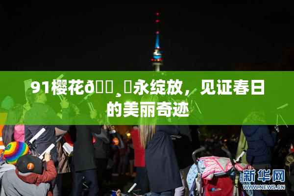 91樱花🌸‌永绽放，见证春日的美丽奇迹
