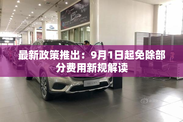 最新政策推出：9月1日起免除部分费用新规解读