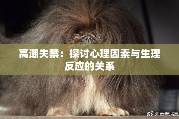 高潮失禁：探讨心理因素与生理反应的关系