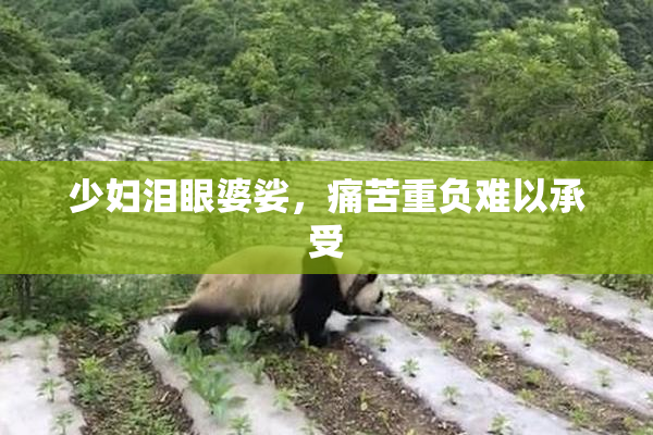 少妇泪眼婆娑，痛苦重负难以承受