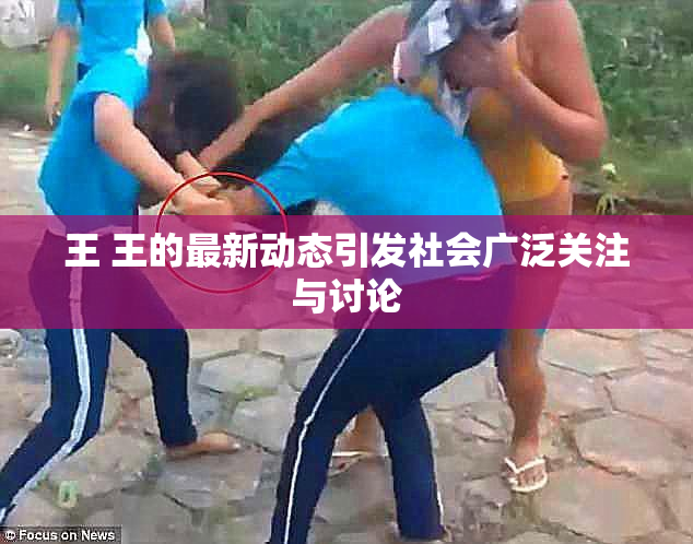 王 王的最新动态引发社会广泛关注与讨论