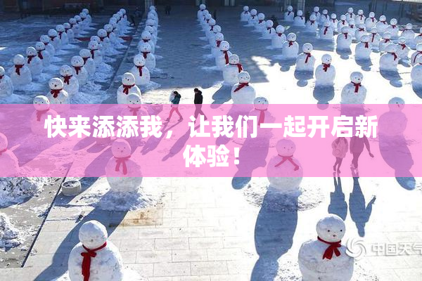 快来添添我，让我们一起开启新体验！