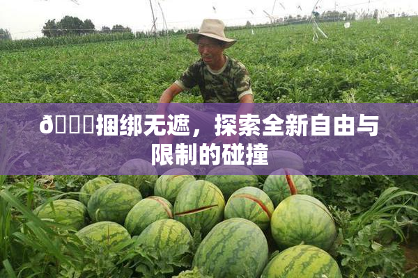 🔞捆绑无遮，探索全新自由与限制的碰撞