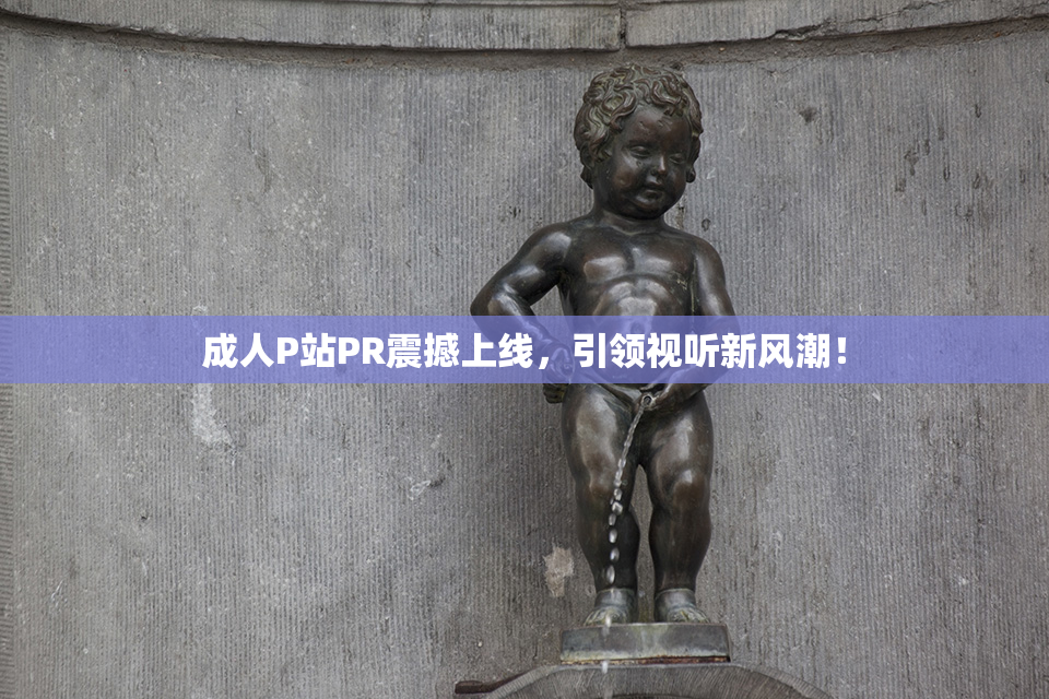 成人P站PR震撼上线，引领视听新风潮！
