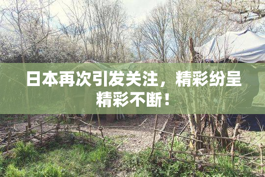 日本再次引发关注，精彩纷呈精彩不断！