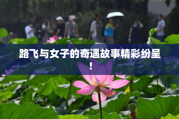 路飞与女子的奇遇故事精彩纷呈！