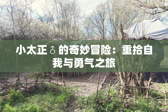 小太正♂的奇妙冒险：重拾自我与勇气之旅