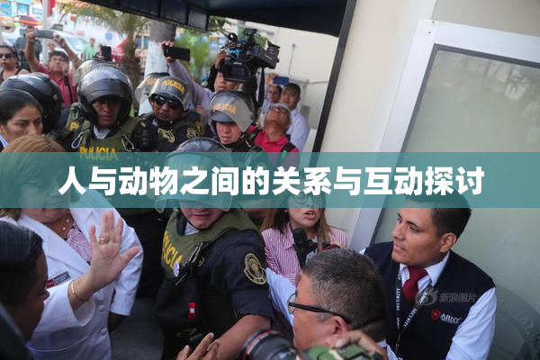 人与动物之间的关系与互动探讨