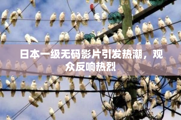 日本一级无码影片引发热潮，观众反响热烈
