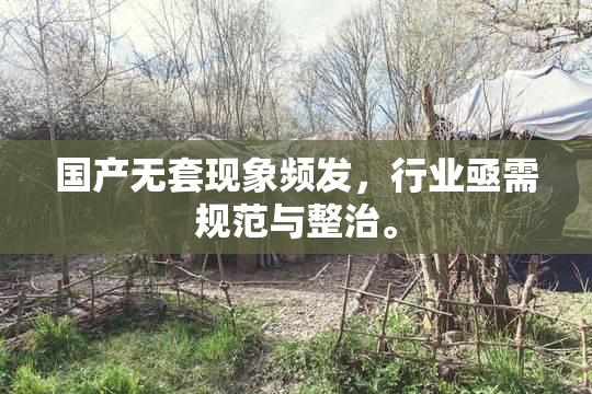 国产无套现象频发，行业亟需规范与整治。