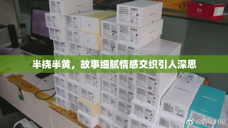 半挠半黄，故事细腻情感交织引人深思