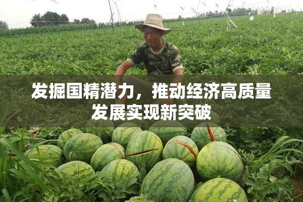 发掘国精潜力，推动经济高质量发展实现新突破