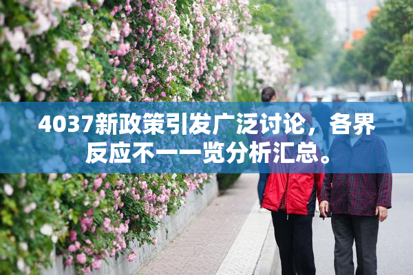 4037新政策引发广泛讨论，各界反应不一一览分析汇总。