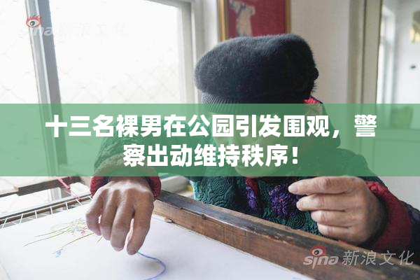 十三名裸男在公园引发围观，警察出动维持秩序！
