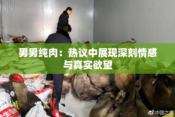 男男纯肉：热议中展现深刻情感与真实欲望