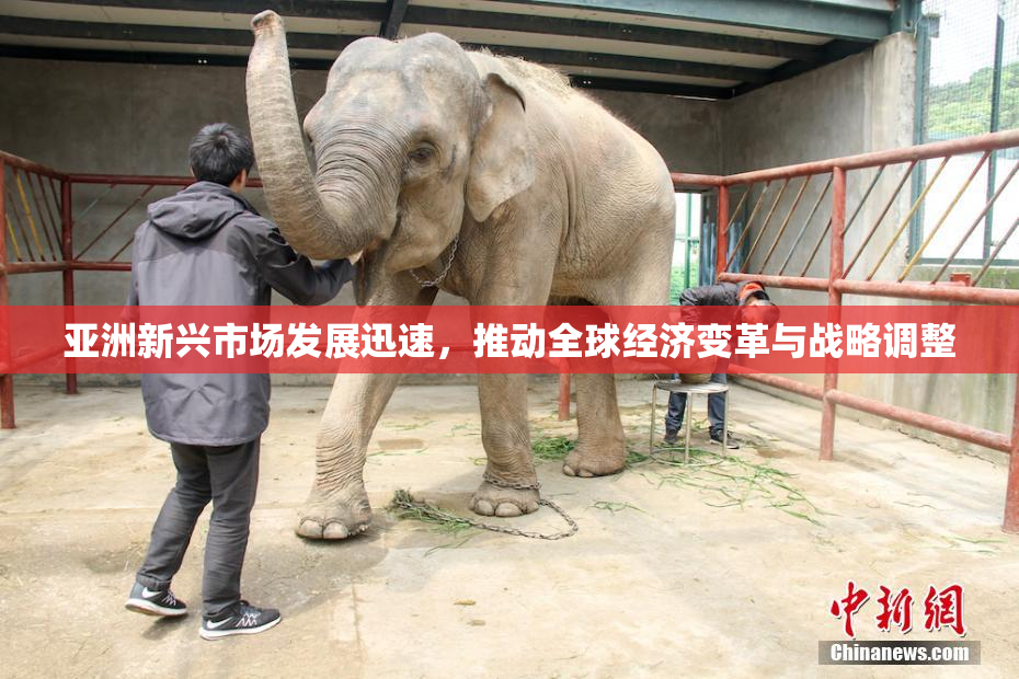 亚洲新兴市场发展迅速，推动全球经济变革与战略调整