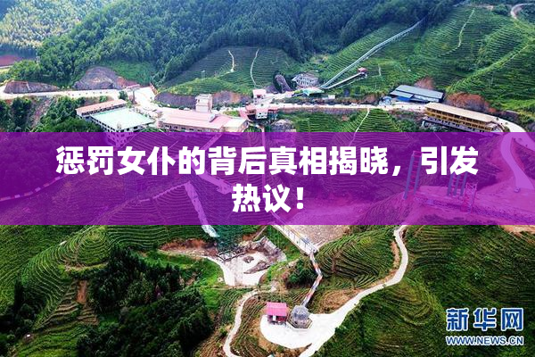惩罚女仆的背后真相揭晓，引发热议！
