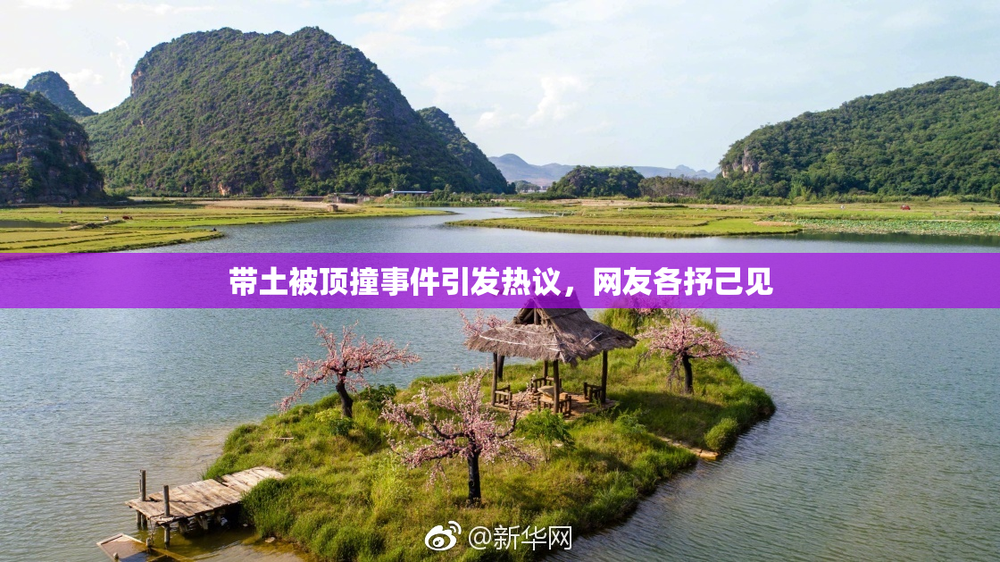 带土被顶撞事件引发热议，网友各抒己见