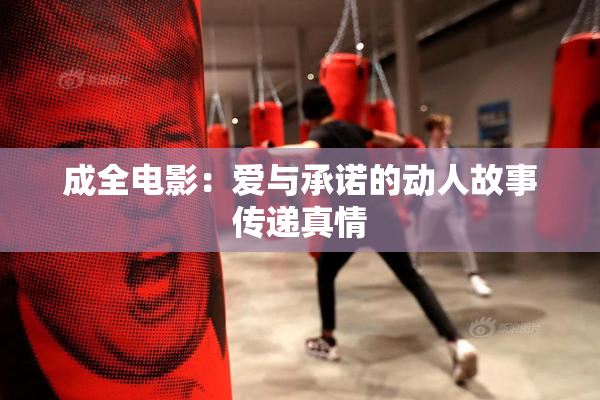 成全电影：爱与承诺的动人故事传递真情