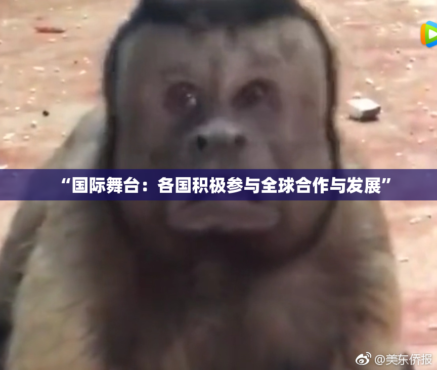 “国际舞台：各国积极参与全球合作与发展”