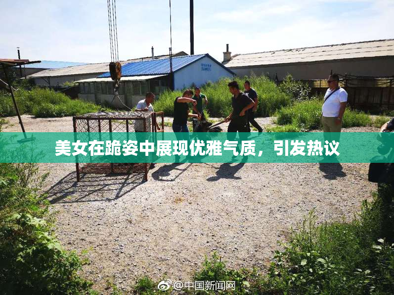 美女在跪姿中展现优雅气质，引发热议