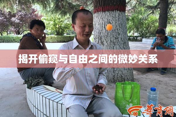 揭开偷窥与自由之间的微妙关系
