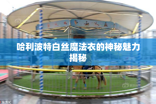 哈利波特白丝魔法衣的神秘魅力揭秘