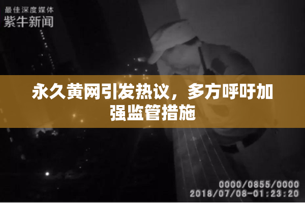 永久黄网引发热议，多方呼吁加强监管措施