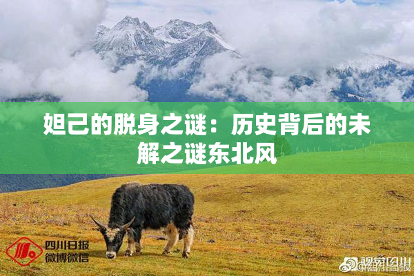 妲己的脱身之谜：历史背后的未解之谜东北风