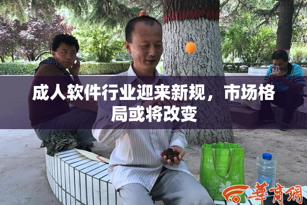 成人软件行业迎来新规，市场格局或将改变