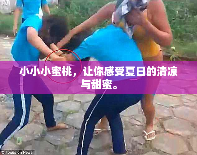 小小小蜜桃，让你感受夏日的清凉与甜蜜。