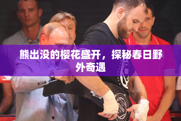 熊出没的樱花盛开，探秘春日野外奇遇