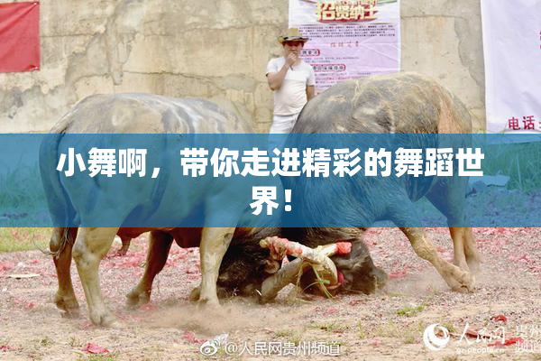 小舞啊，带你走进精彩的舞蹈世界！
