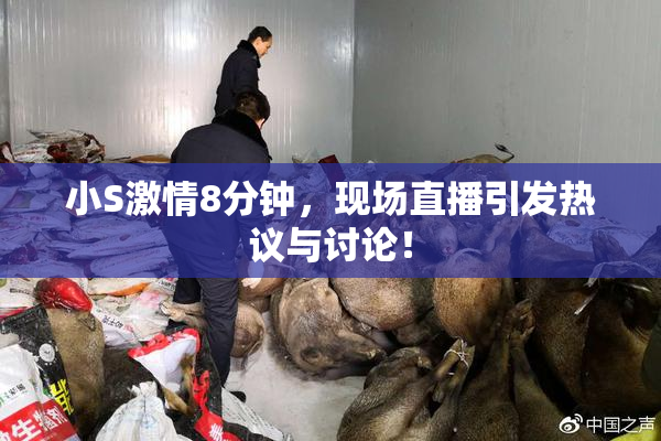 小S激情8分钟，现场直播引发热议与讨论！