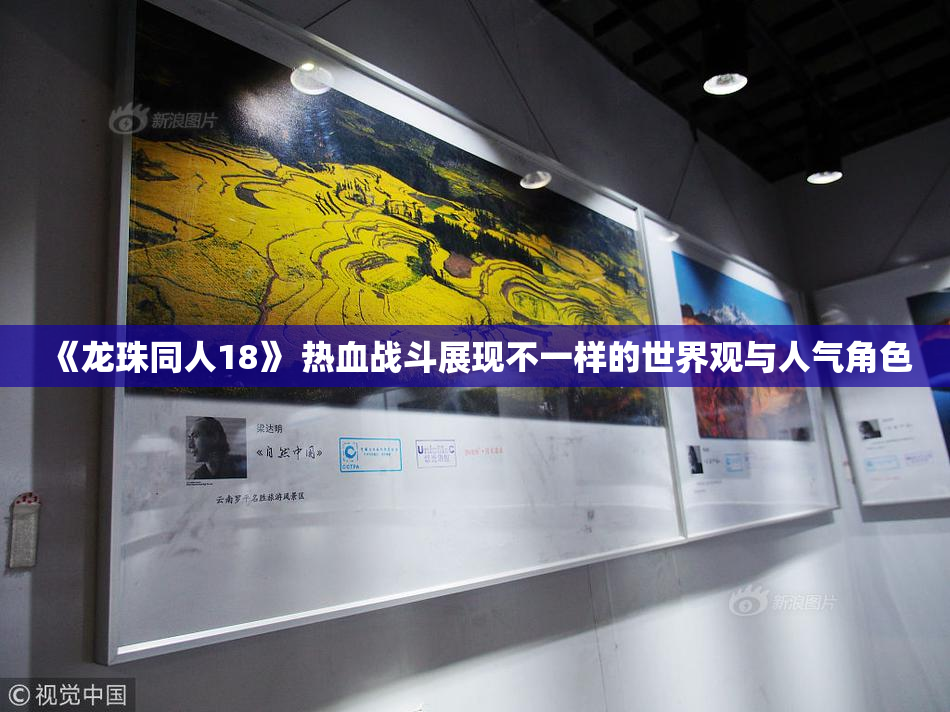 《龙珠同人18》 热血战斗展现不一样的世界观与人气角色