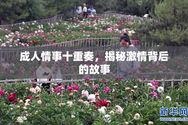 成人情事十重奏，揭秘激情背后的故事