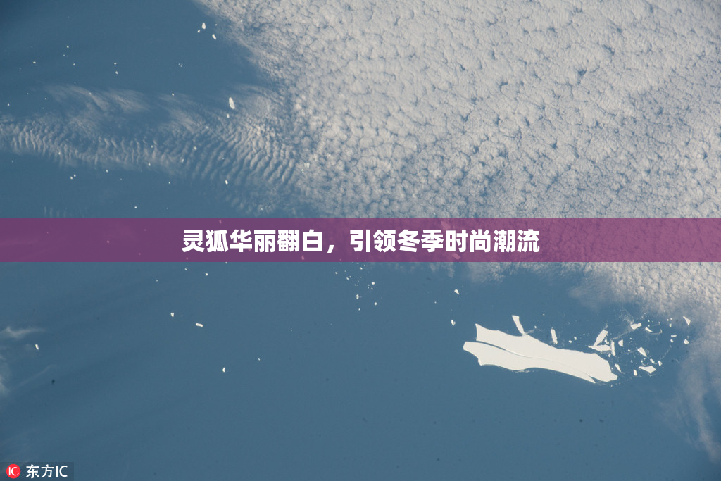 灵狐华丽翻白，引领冬季时尚潮流