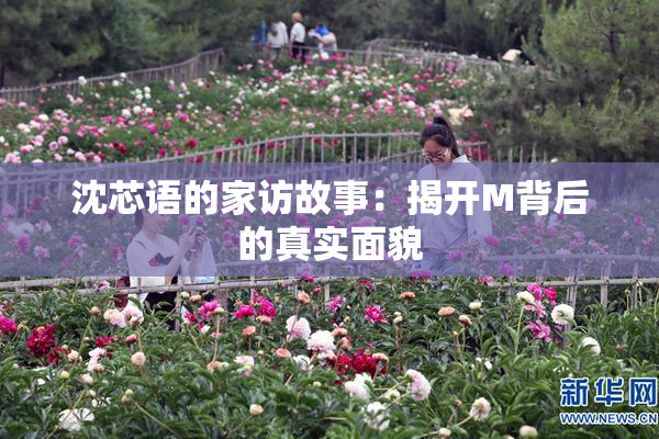 沈芯语的家访故事：揭开M背后的真实面貌