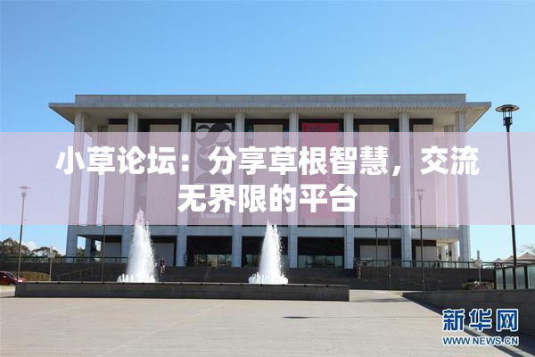 小草论坛：分享草根智慧，交流无界限的平台